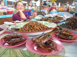 18320773-insects-giant-waterbugs-market-food-thailand