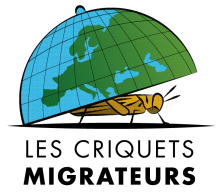 Logo-final-transparent