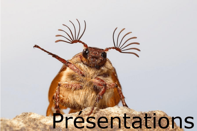 PRESENTATIONS