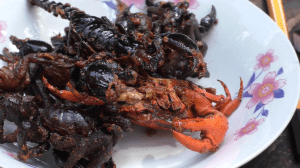 vlcsnap-2018-04-27-15h35m04s642