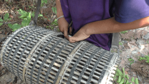 vlcsnap-2018-06-17-18h03m47s141