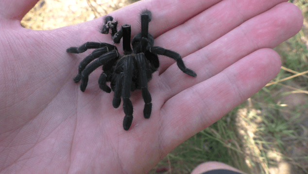 vlcsnap-2018-06-17-18h41m12s219