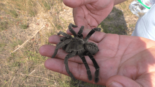 vlcsnap-2018-06-17-18h48m58s295