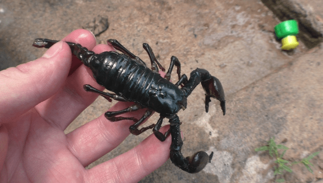 vlcsnap-2018-06-17-18h53m46s559