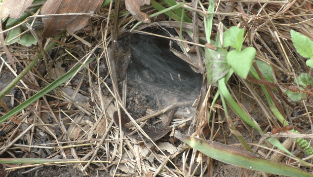 vlcsnap-2018-06-17-18h55m24s927