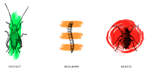 Screen+Shot+2018-08-02+at+12.41.35+pm