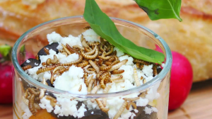 vlcsnap-2018-10-30-19h21m51s673