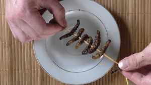 InArticle BroChenilles