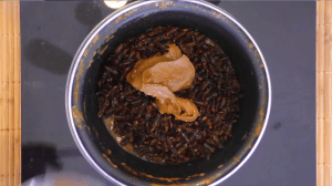 InArticle termites cahuète