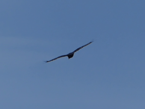 vlcsnap-2018-12-21-15h52m02s498