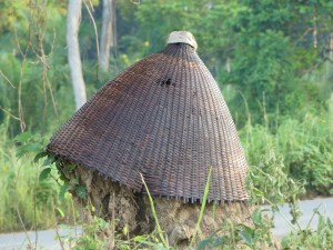 Panier termitière
