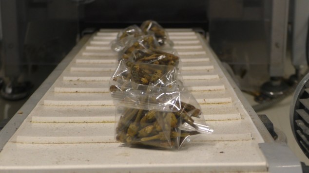 Atelier Jimini's.Still001.jpg